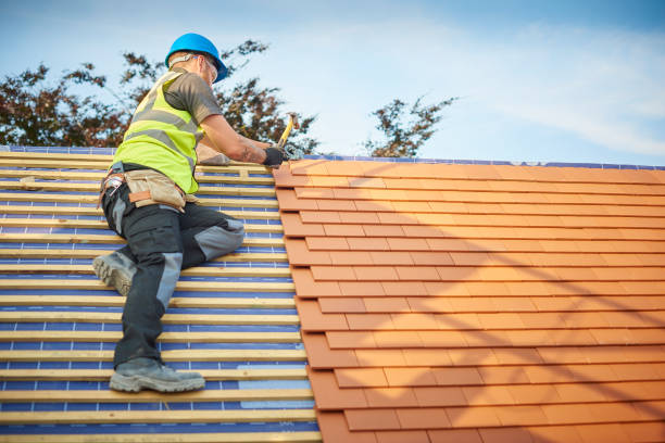 Best Asphalt Shingle Roofing  in North Riverside, IL